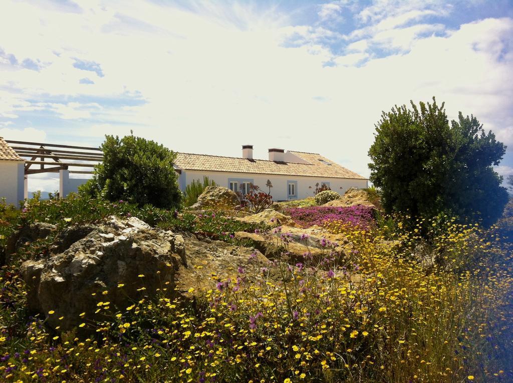 Cerca Do Sul Bed and Breakfast São Teotónio Eksteriør billede