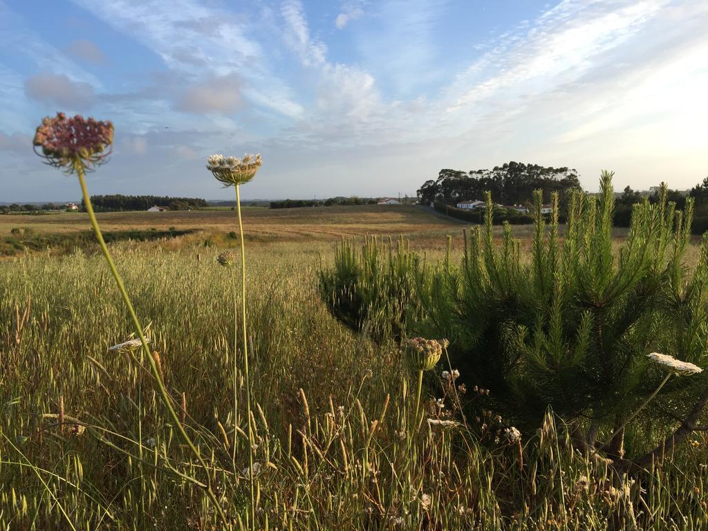 Cerca Do Sul Bed and Breakfast São Teotónio Eksteriør billede