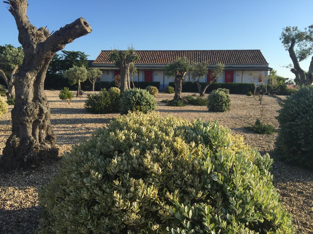 Cerca Do Sul Bed and Breakfast São Teotónio Eksteriør billede